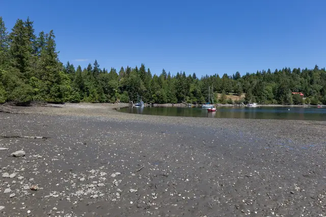 Anderson Cove