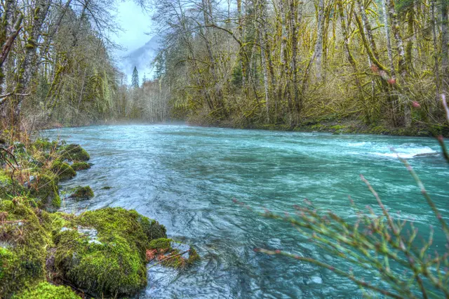 Dosewallips State Park