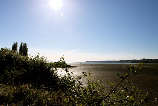 Drayton Harbor Anchorage