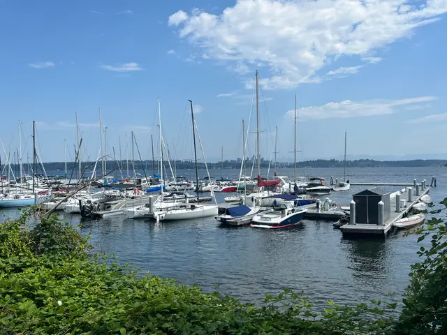 Leschi Marina