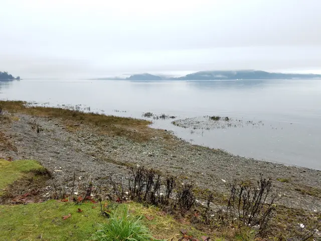 Potlatch State Park